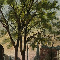 Broad Street. Newark, N J.