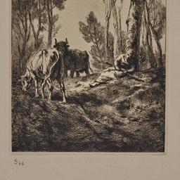 The Cowherdess