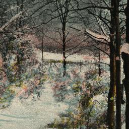 Winter Scene at Bronx Park,...
