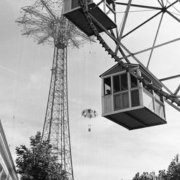Photographic negatives of S...