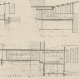 Longitudinal, cross sections