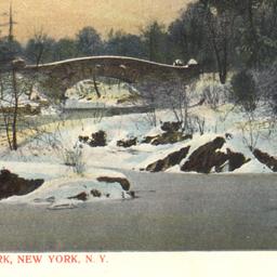 Winter Scene, Central Park,...