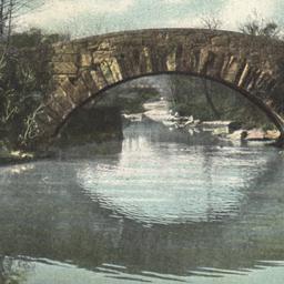 Vine Arch Bridge, Central P...