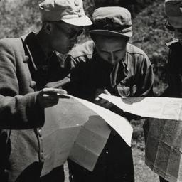 Looking At Map