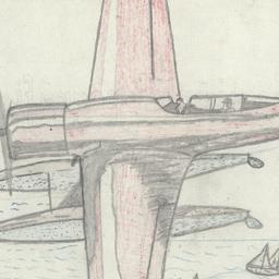 Hydroplane Flying Over Ships