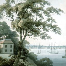 New York from Long Island