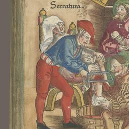 Feldtbuch der Wundartzney
