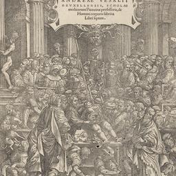 Andreae Vesalii Bruxellensi...