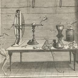 De viribus electricitatis i...
