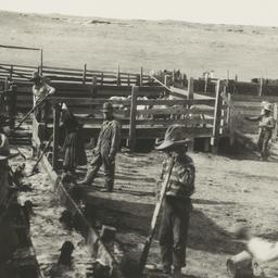 Ranch Workers