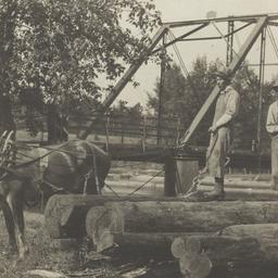 Timbering on Au Sable River...