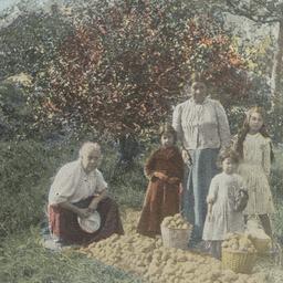 Native Americans Harvesting...