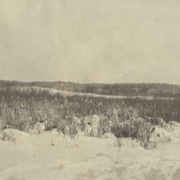 Landscape with Snow, near B...