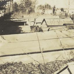 Ojibwe Cemetery, Leech Lake...