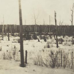 View of Landscape from Iron...