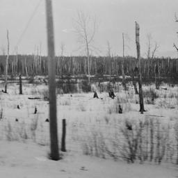View of Landscape from Iron...