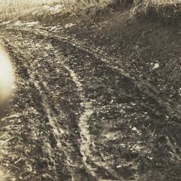 Muddy Road with Car Tracks,...
