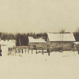 Ojibwa Homes in a Nett Lake...