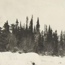 Winter Landscape with Trees...