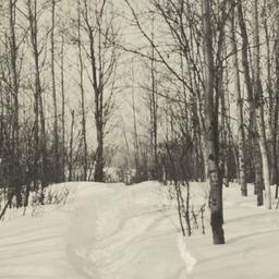 Winter on Vermilion Lake, M...