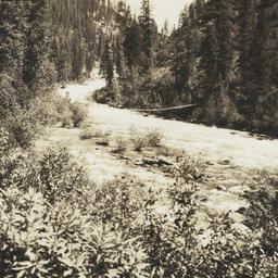 Idaho Mountain Stream