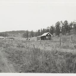 Whitetail, New Mexico
