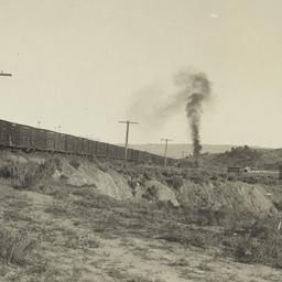 Trainload of Jicarillo Lambs
