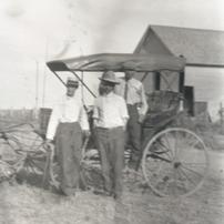 Horse and Buggy with Severa...