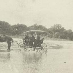 Three Men in Horse and Bugg...