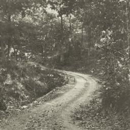 Fall Scene along a Dirt Roa...