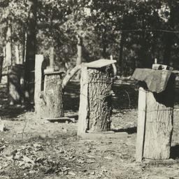 Two Young Boys alongside a ...