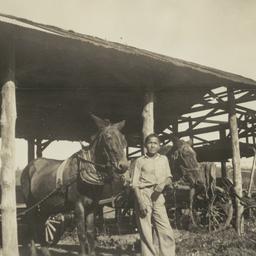 Dan Buckheart with His Mule...