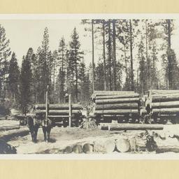 Loading Logs on Car with Wi...