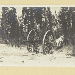 Slip Tongue Logging Wheels,...