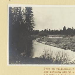 Logs on Williamson River, O...