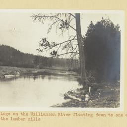 Logs on Williamson River, O...