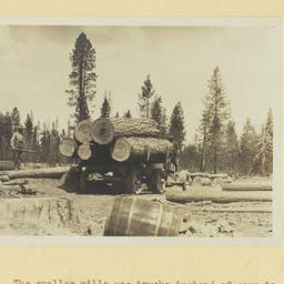 Logs on a Truck, Going to b...