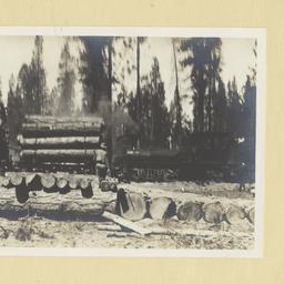 Logs on Trucks Ready to be ...