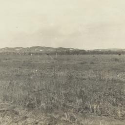 Field with St. Philip Episc...