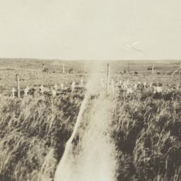 Graves of Victims from Flu ...
