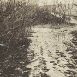 Muddy Road, Rosebud Reserva...