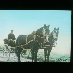 Man on a Carriage Pulled by...