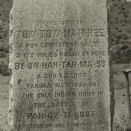 Monumet in Memory of Tow-To...