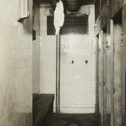 Sewers, Sewage and Toilets