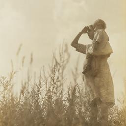 Looking Into the Distance