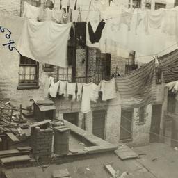 Clotheslines Over Rooster a...