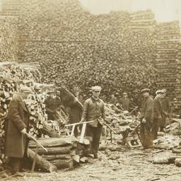 Men Working in Woodyard