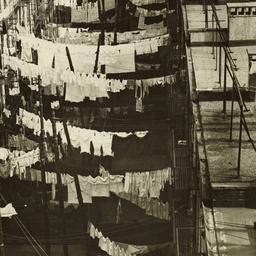 Clotheslines on Roofs and B...