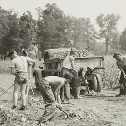 Clearing Stones