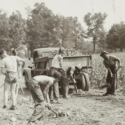 Clearing Stones